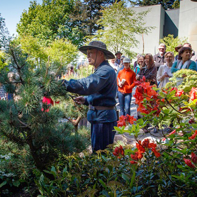 Fifth Annual Japanese Pruning Workshop Provides Lessons with Visual Delights