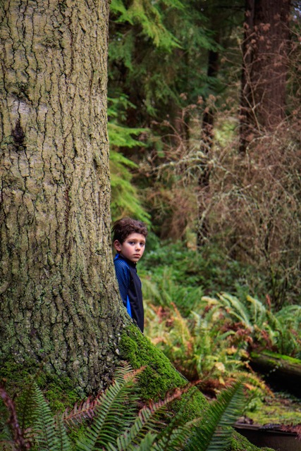 The Future of the Ancient Giants and the Price of Camping at South Whidbey State Park