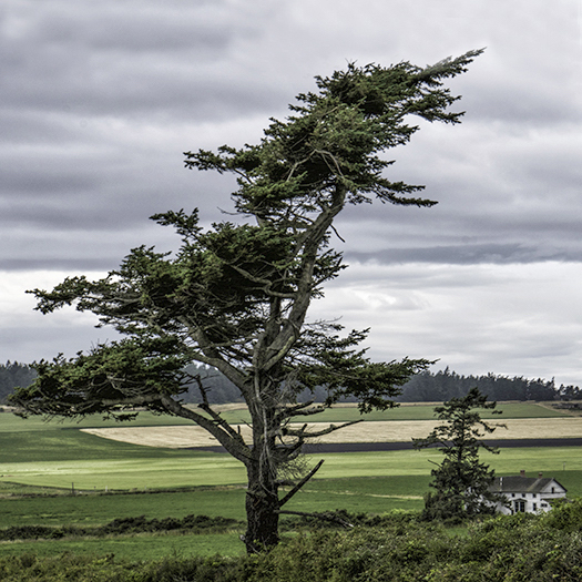 Ebey’s Landing National Historical Reserve—Reflected in Four Lenses