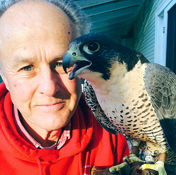 Lumens  ||  Of Falcons, Rabbits and the Ego-logical Niche