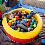 Whidbey Celebrates Children