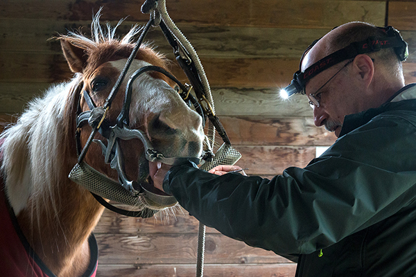 These Doctors Make ‘Horse’ Calls
